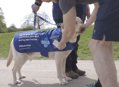 Gây quỹ động vật bằng thẻ không tiếp xúc - Máy in thẻ nhựa, máy dập nổi, đầu đọc thẻ nhựa