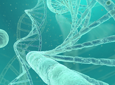 Mỹ nghiên cứu phương pháp xác thực danh tính bằng tóc - Máy in thẻ nhựa, máy dập nổi, đầu đọc thẻ nhựa